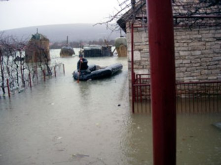 Trebi&scaron;njica foto_Srna