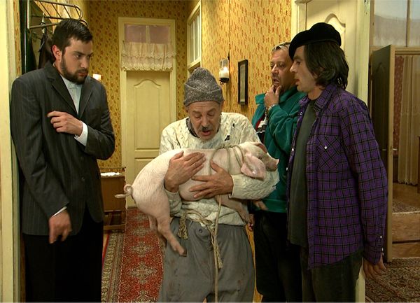 Lud, zbunjen, normalan