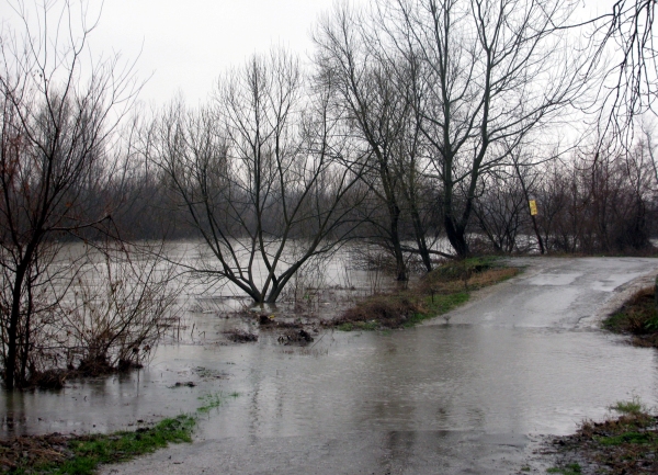 Bijeljina poplave Foto: SRNA