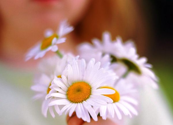 Osmi mart ilustracija