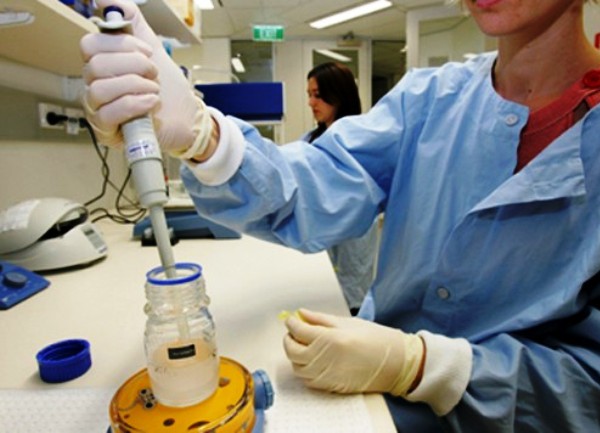 vje&scaron;tačka oplodnja ilustracija