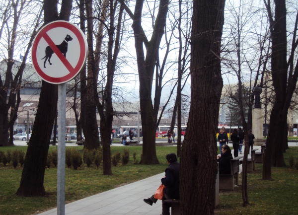 Psi zabrana kretanja