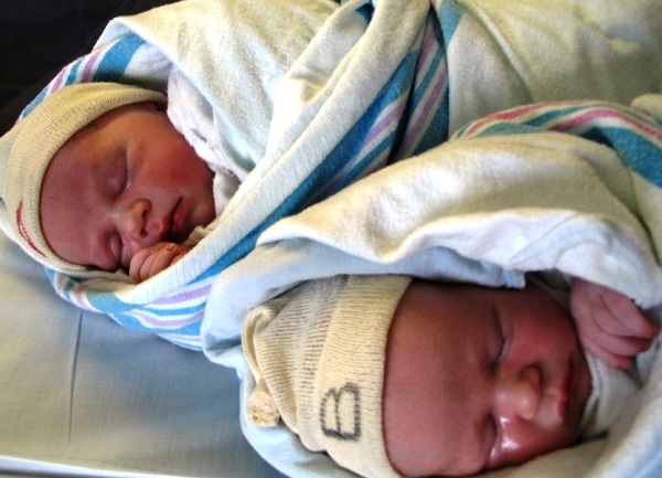 Blizanci ILUSTRACIJA