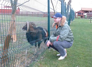 stipe ivanković lijanović