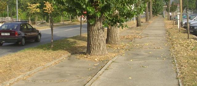 biciklističke staze