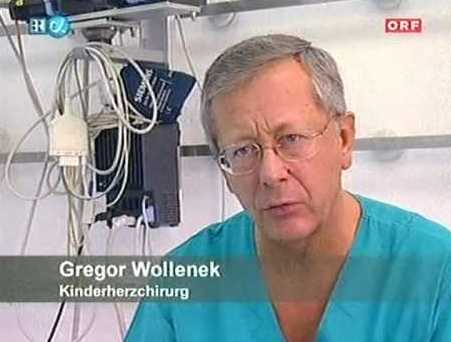 Gregor Wollenek