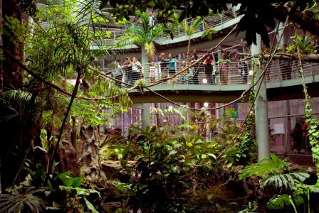 renzo piano akademija