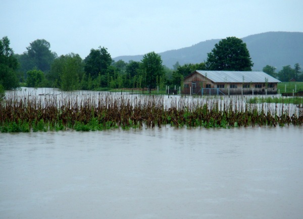 Petrovo - poplave / foto: Srna