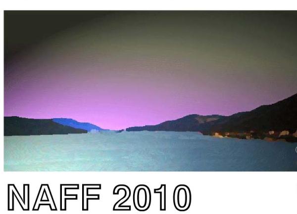 naff 2010