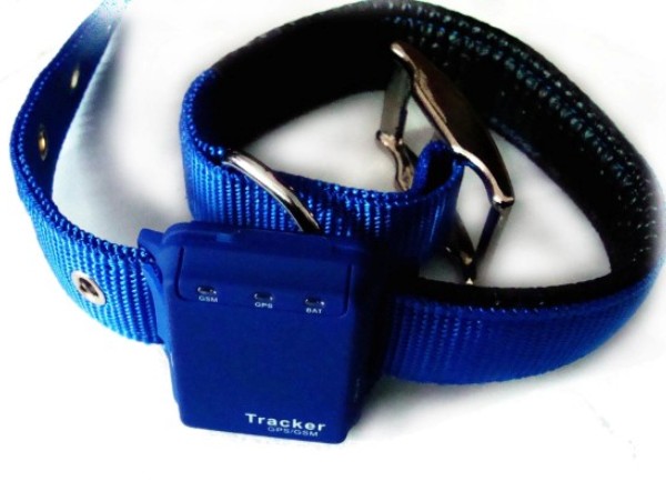 elektronska narukvica