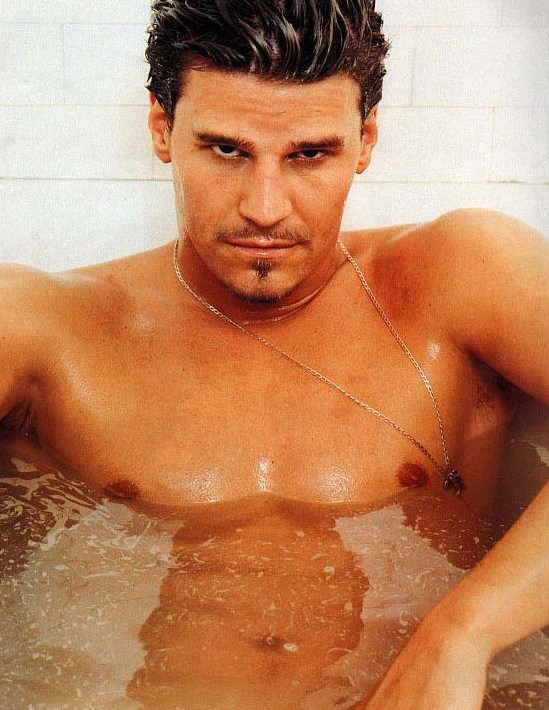 David Boreanaz