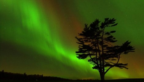 Aurora Borealis (AP)