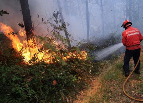 požari u Portugalu
