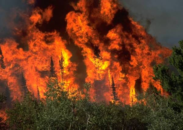 &scaron;umski požar, arhiv