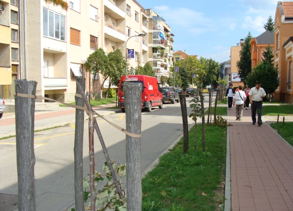 polomljene sadnice u centru Banjaluke