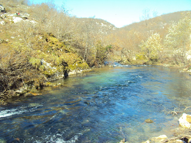 Zaustavimo zločin nad Sanom