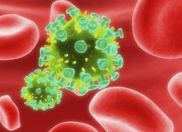 HIV virus HIV virus