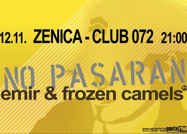 Plakat za koncert Emir & Frozen Camels u Zenici
