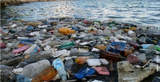 Smeće na Pelješcu Smeće na Pelješcu