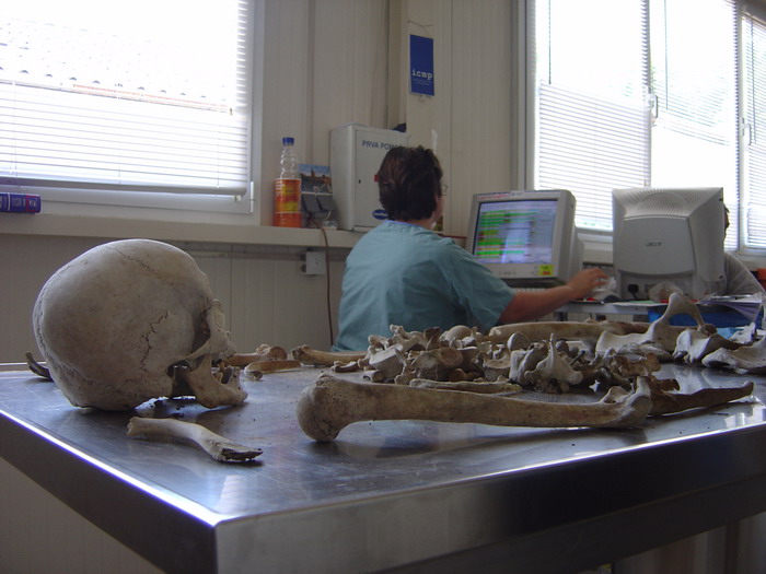 Identifikacija žrtava