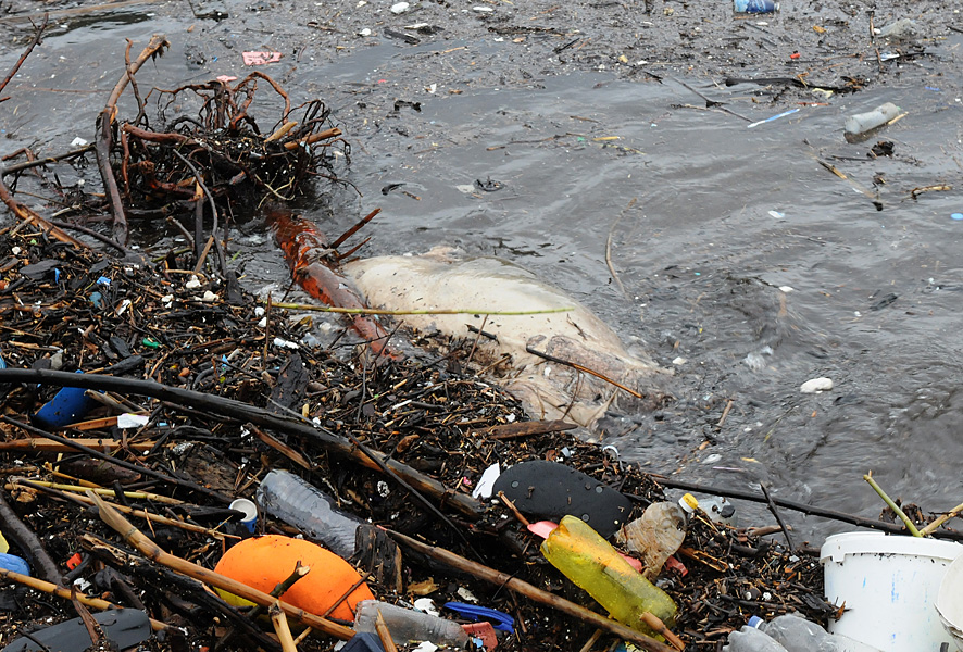 smeće na pelješcu smeće na pelješcu