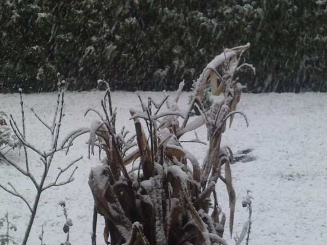 zima u kozarskoj dubici