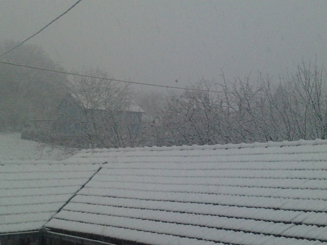 zima u kozarskoj dubici