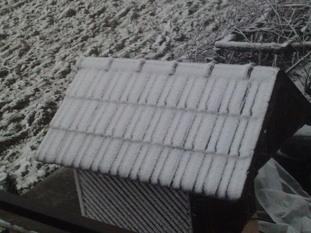 zima u kozarskoj dubici