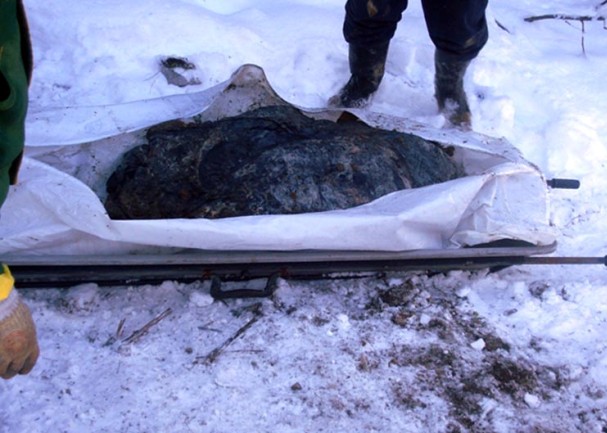 Pronađena tijela Tolića i Ajdarija