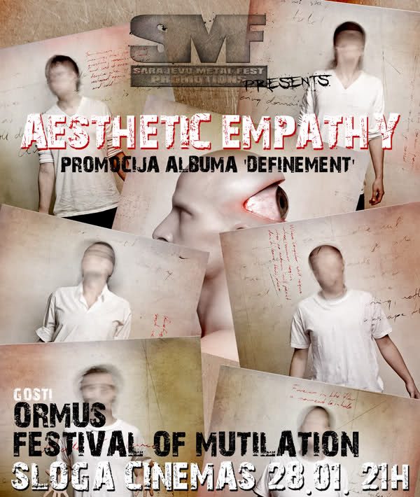 Aesthetic Empathy