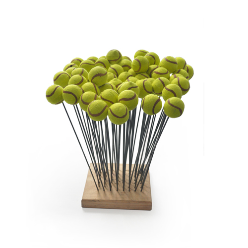 Projekat Proizvod Plus