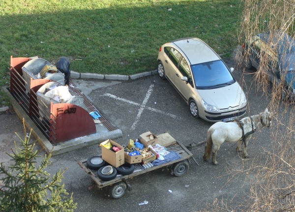 Kopanje po kontejnerima i konjska kola / foto: BLIN