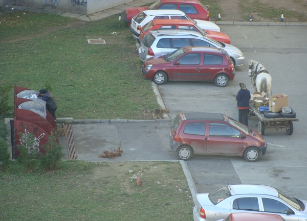 Kopanje po kontejnerima i konjska kola / foto: BLIN Kopanje po kontejnerima i konjska kola / foto: BLIN