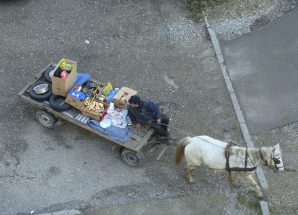 Kopanje po kontejnerima i konjska kola / foto: BLIN Kopanje po kontejnerima i konjska kola / foto: BLIN