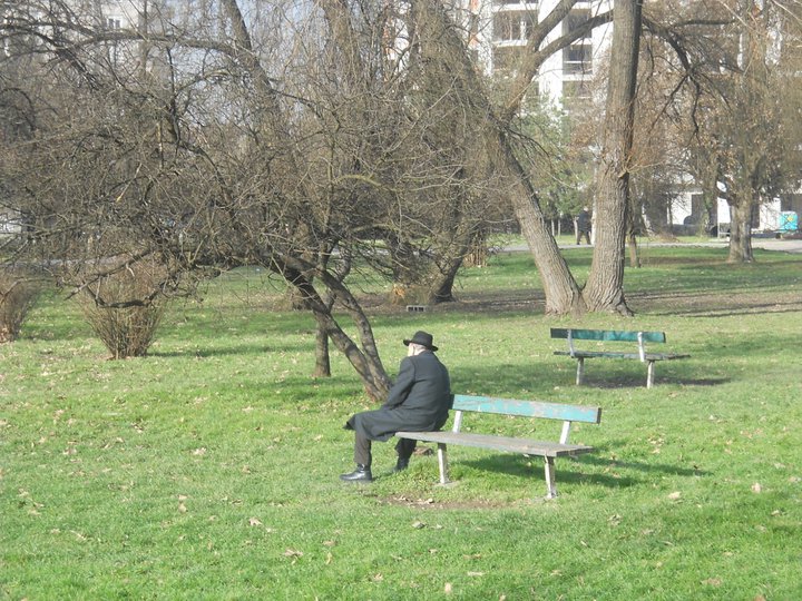 Sunčanje u parku zimi Sunčanje u parku zimi