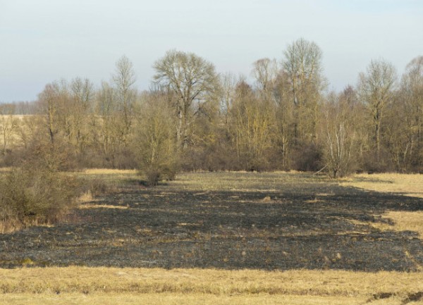 Livada kod Bjelovara