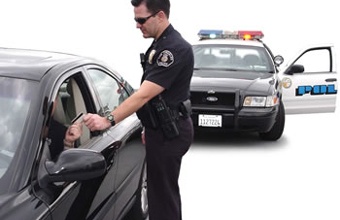 holandski pandur holandski pandur