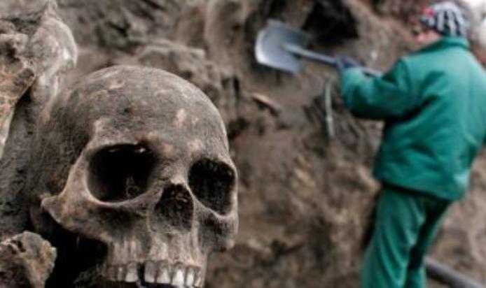 Sijekovac - ilustracija