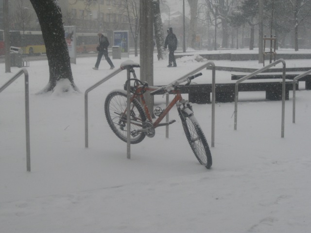 Januarski snijeg u martu