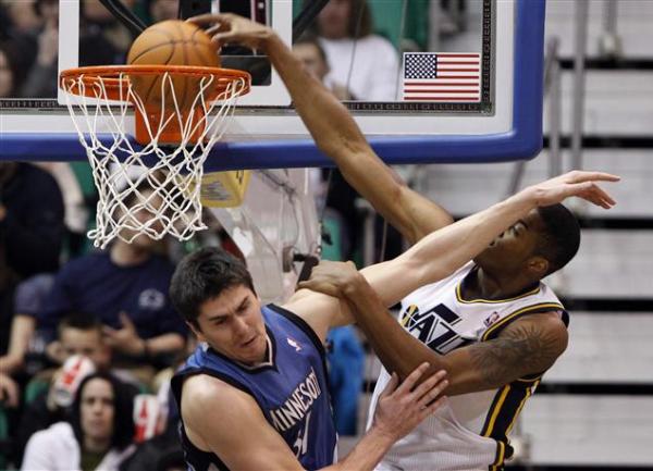 Darko Miličić Minesota