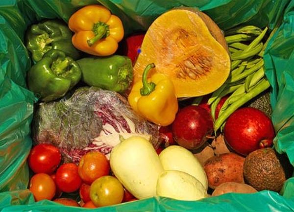 organska hrana naslovna