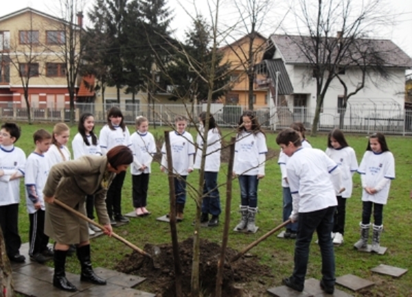Sadnja drveta u &scaron;koli Aleksa &Scaron;antić