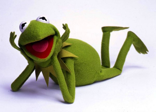 žaba kermit