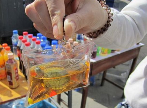 Životinje kao privjesak Životinje kao privjesak