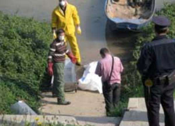 zenski les sava brcko