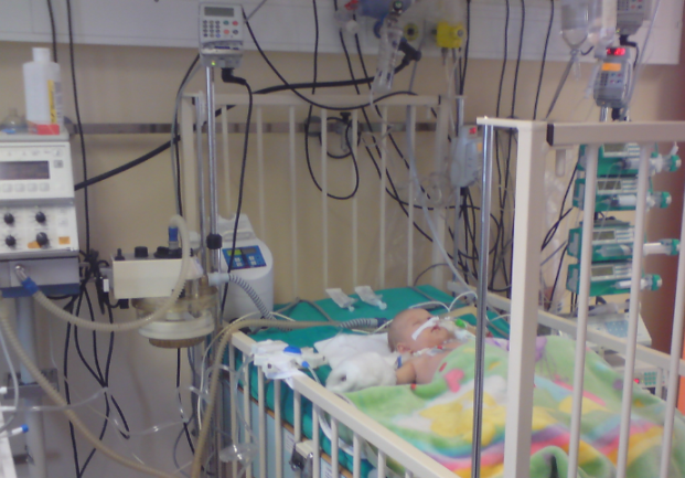 alisan omerspahic alisan omerspahic