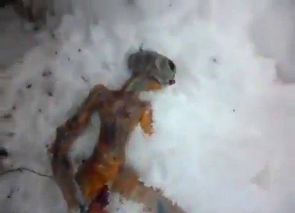 sibir vanzemaljac sibir vanzemaljac