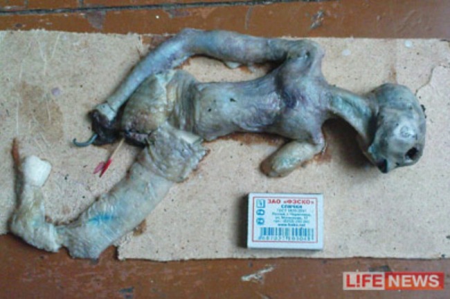 vanzemaljac od koko&scaron;ije kože