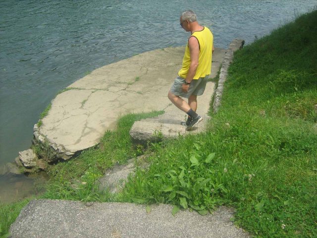 Vrbas, prilaz vodi, juni 2010 (M.Vidović)