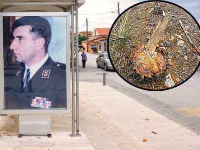 Bibinje, FOTO: Internet Media AG